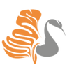 SCARLET logo