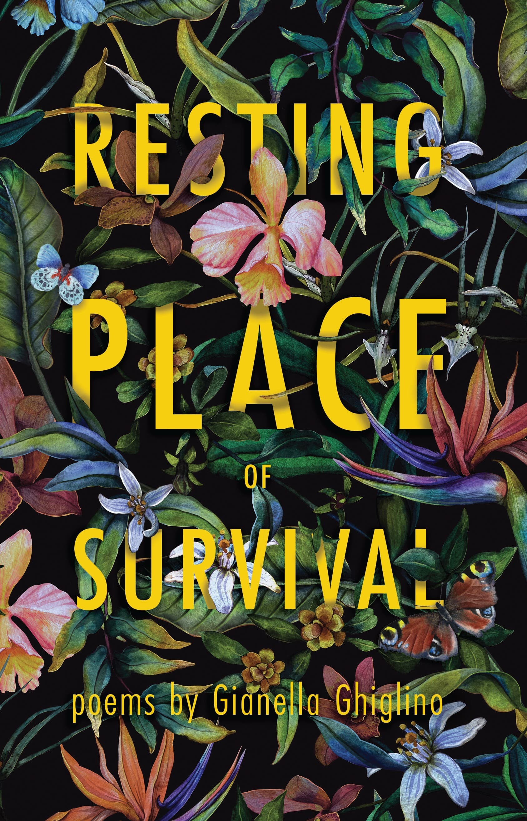 Book cover of Resting Place of Survival by Jaded Ibis Press