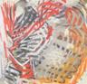 Muriel Craft Bailey Memorial Poetry Contest logo