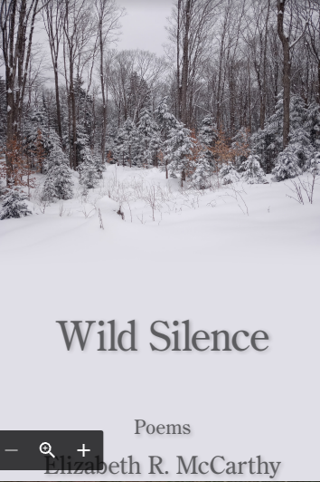 Book cover of Wild Silence by Elizabeth R. McCarthy