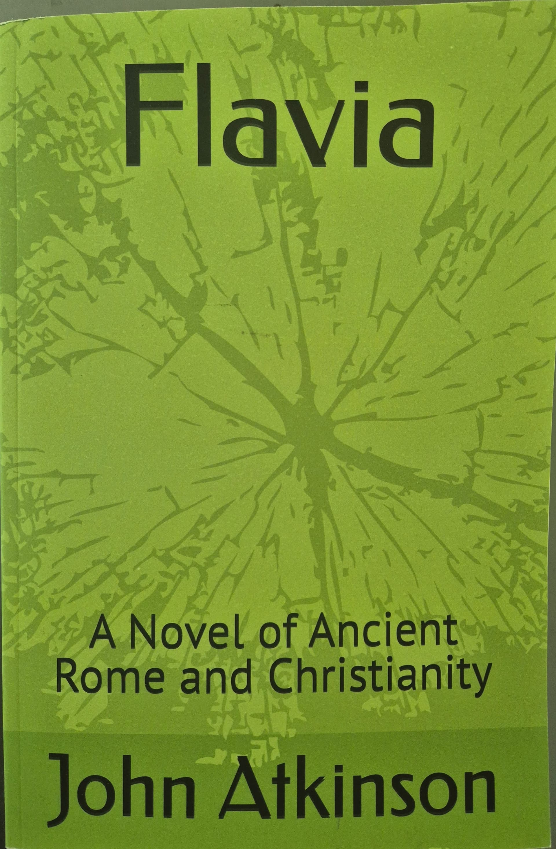 Book cover of Flavia by john