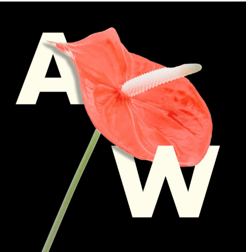 Cover of ARTWIFE