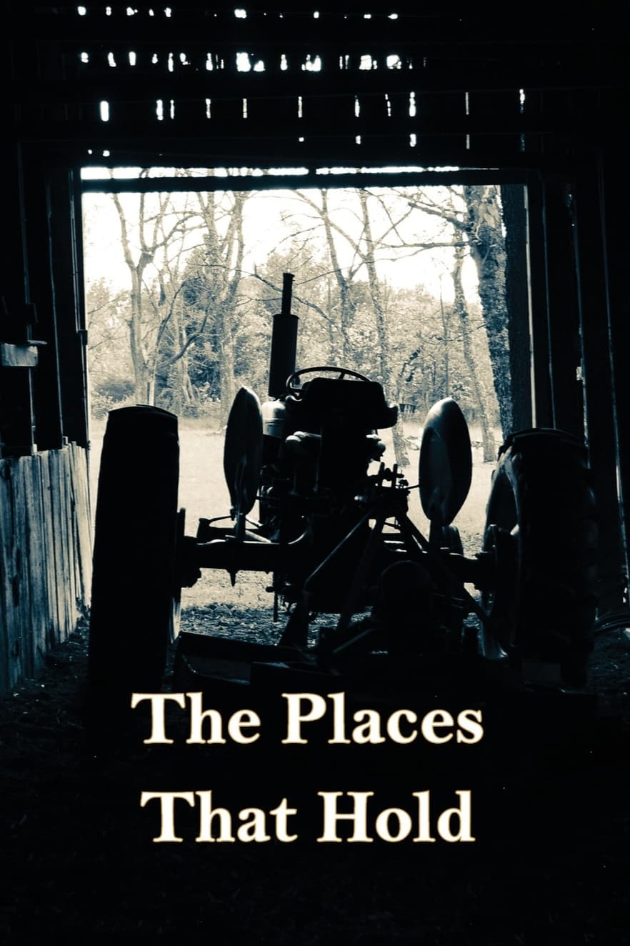Book cover of The Places That Hold by John Davis