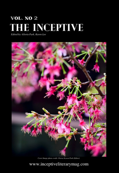 The Inceptive Literary Magazine latest issue