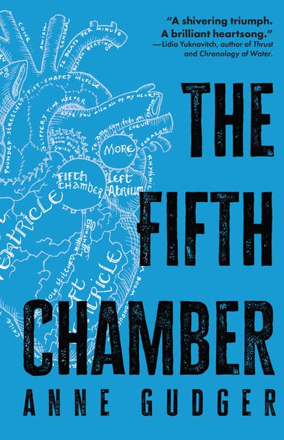 Book cover of The Fifth Chamber by annegudger