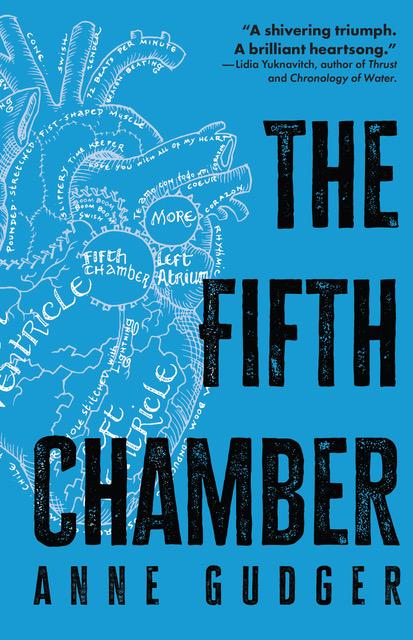 Book cover of The Fifth Chamber by annegudger