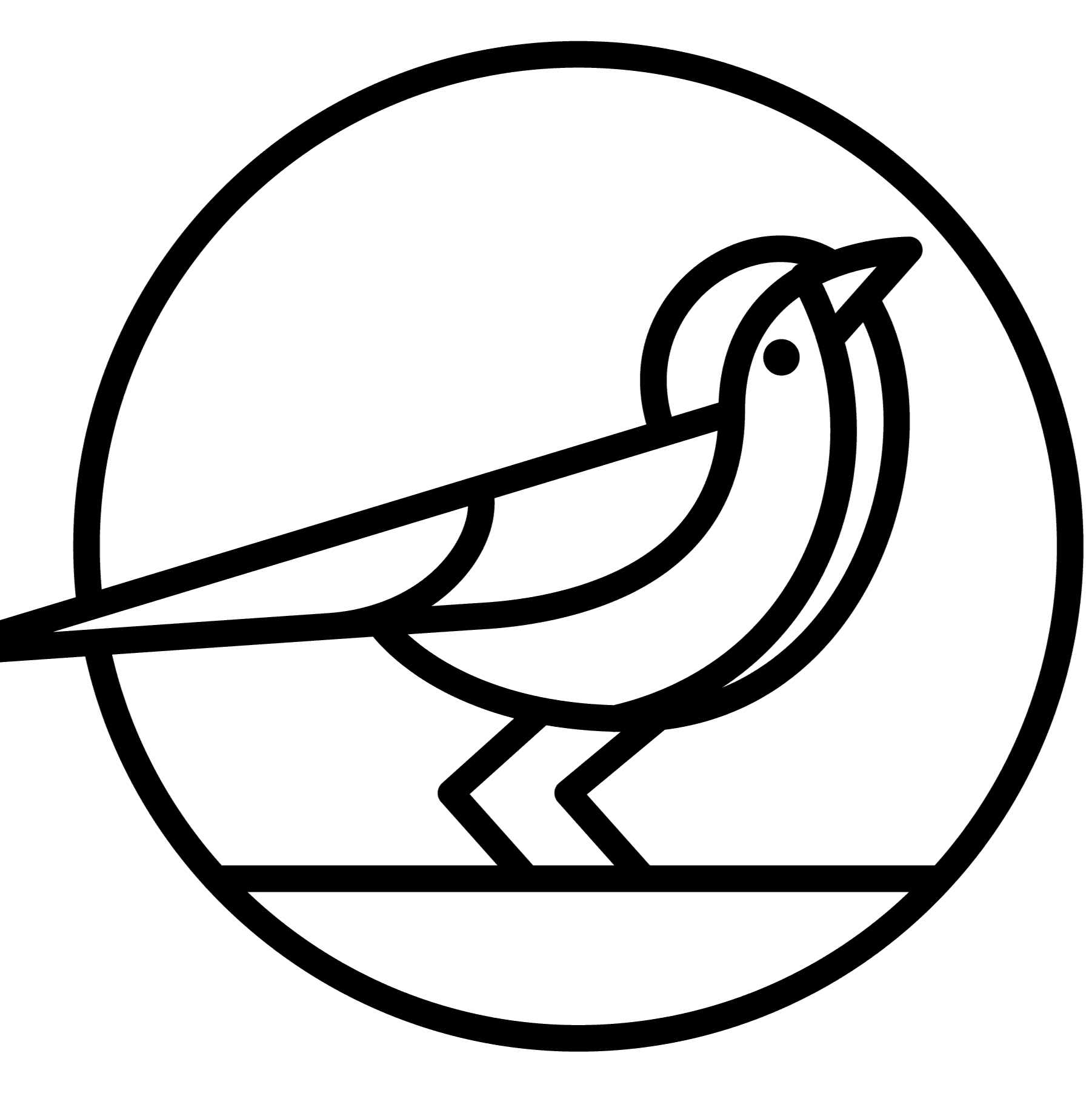 Cover of phoebe