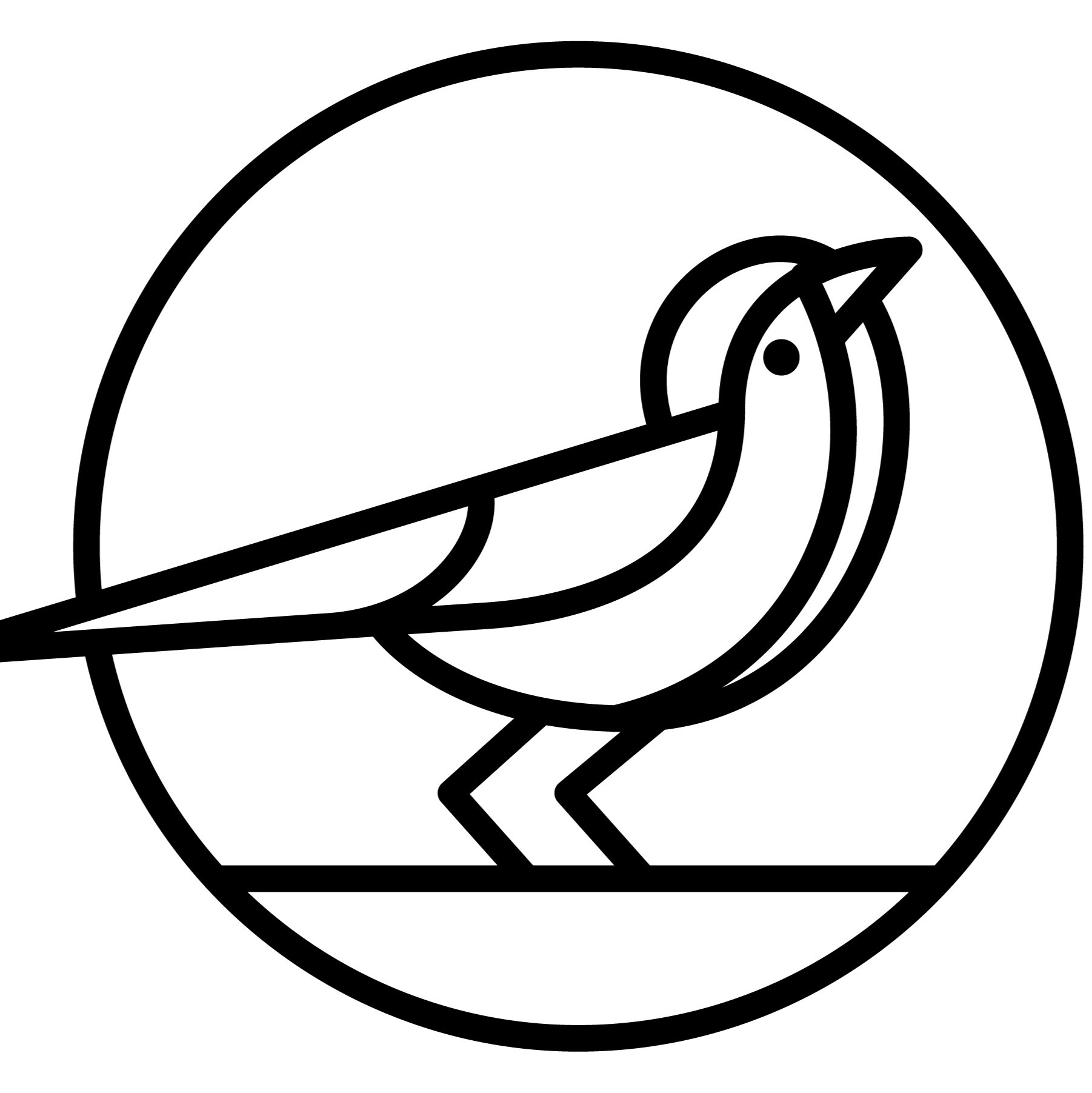 Cover of phoebe