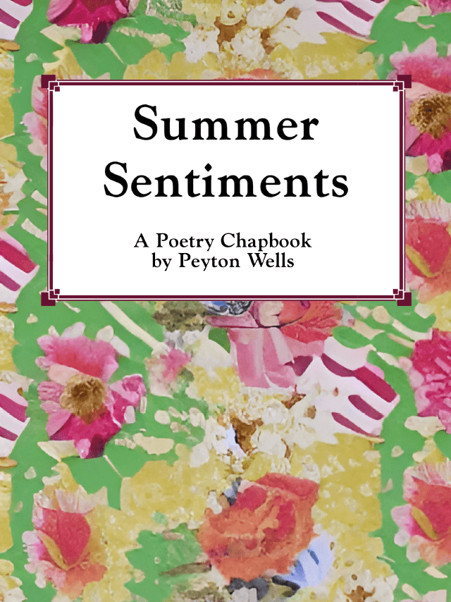 Book cover of Summer Sentiments by Peyton Elizabeth Wells