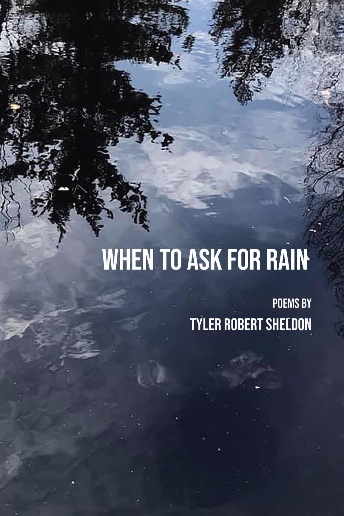 Book cover of When to Ask for Rain by Tyler Robert Sheldon