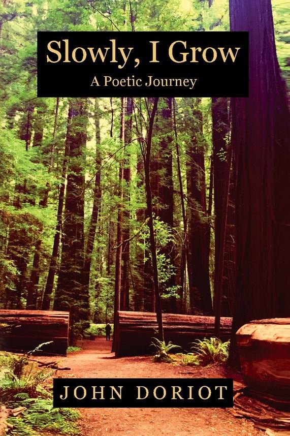 Book cover of Slowly, I Grow by madcow26