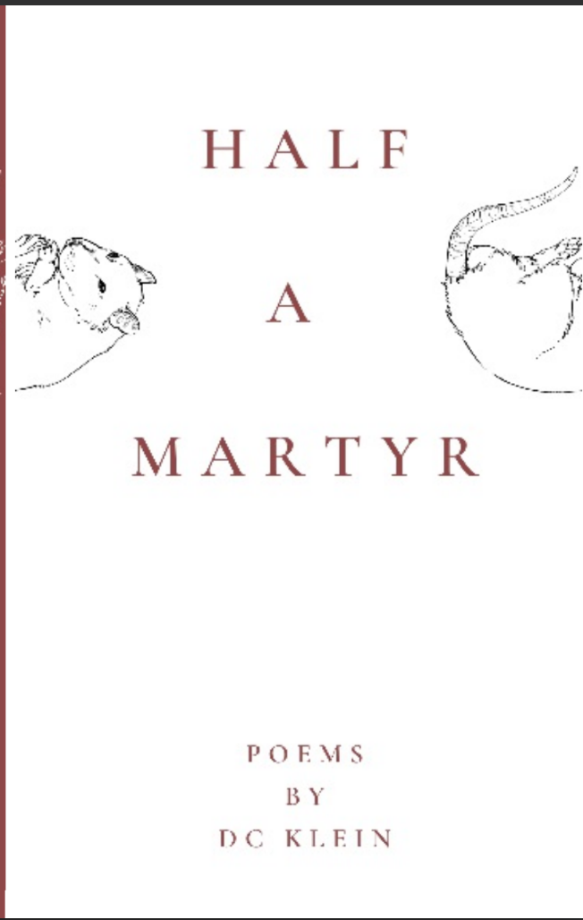 Book cover of Half A Martyr by D.C. Klein