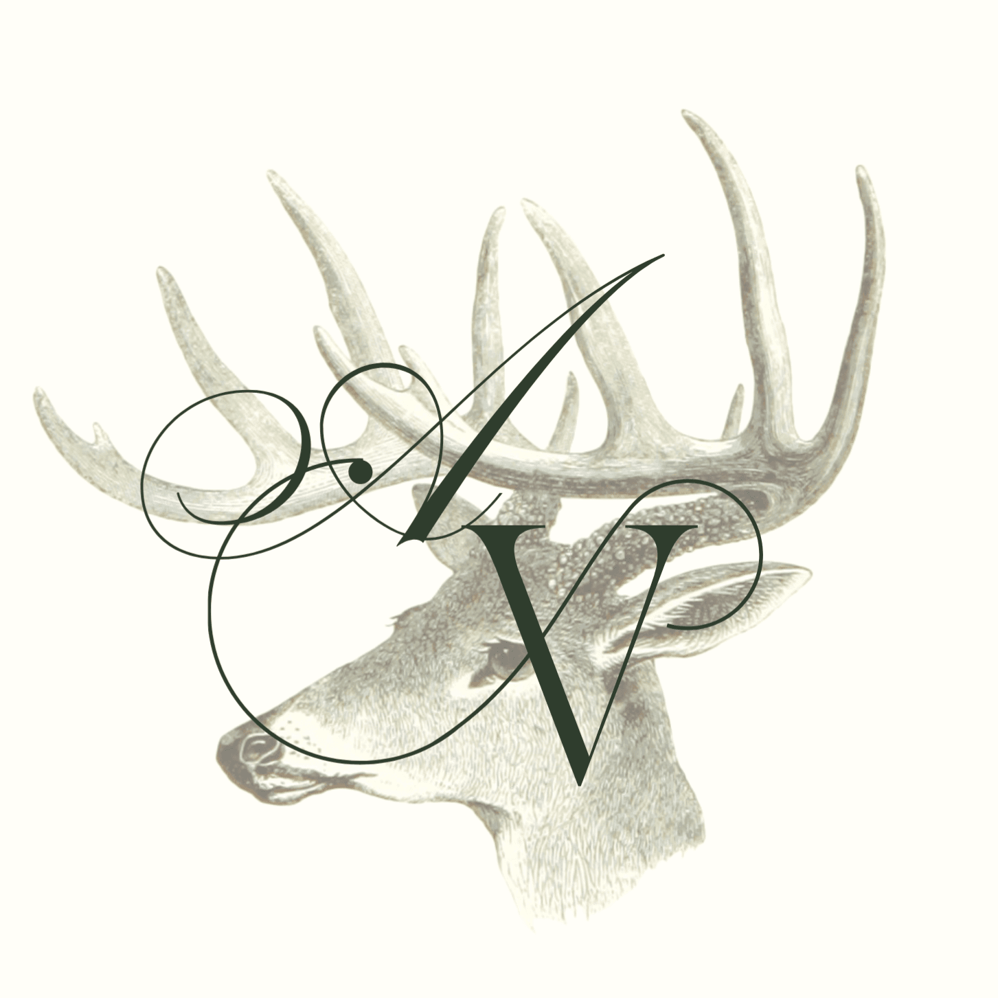 Cover of Antler Velvet