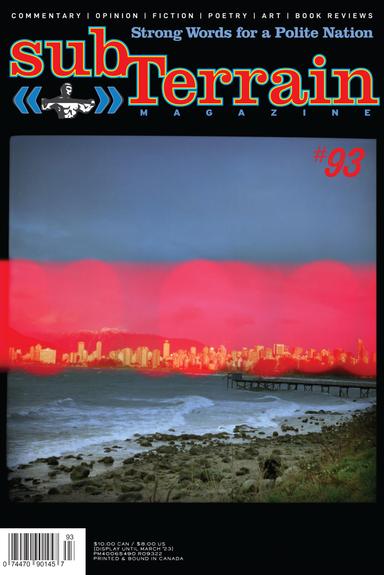 subTerrain latest issue
