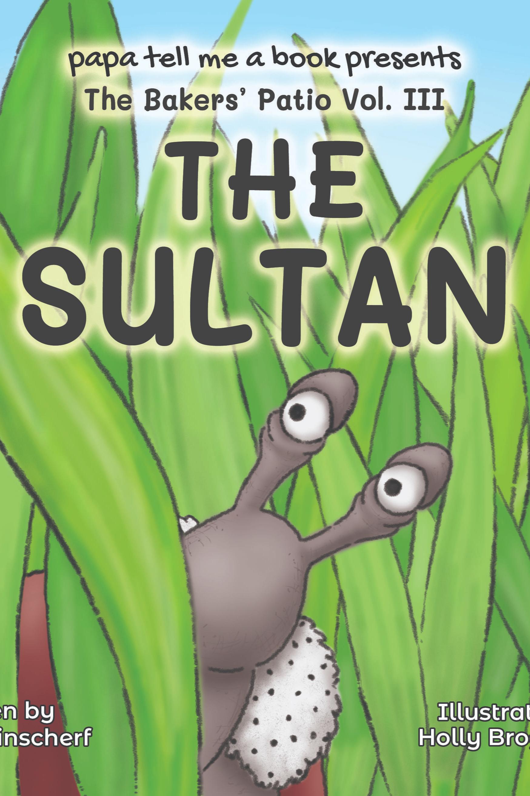 Book cover of The Sultan by papa tell me a book/Ron Kinscherf