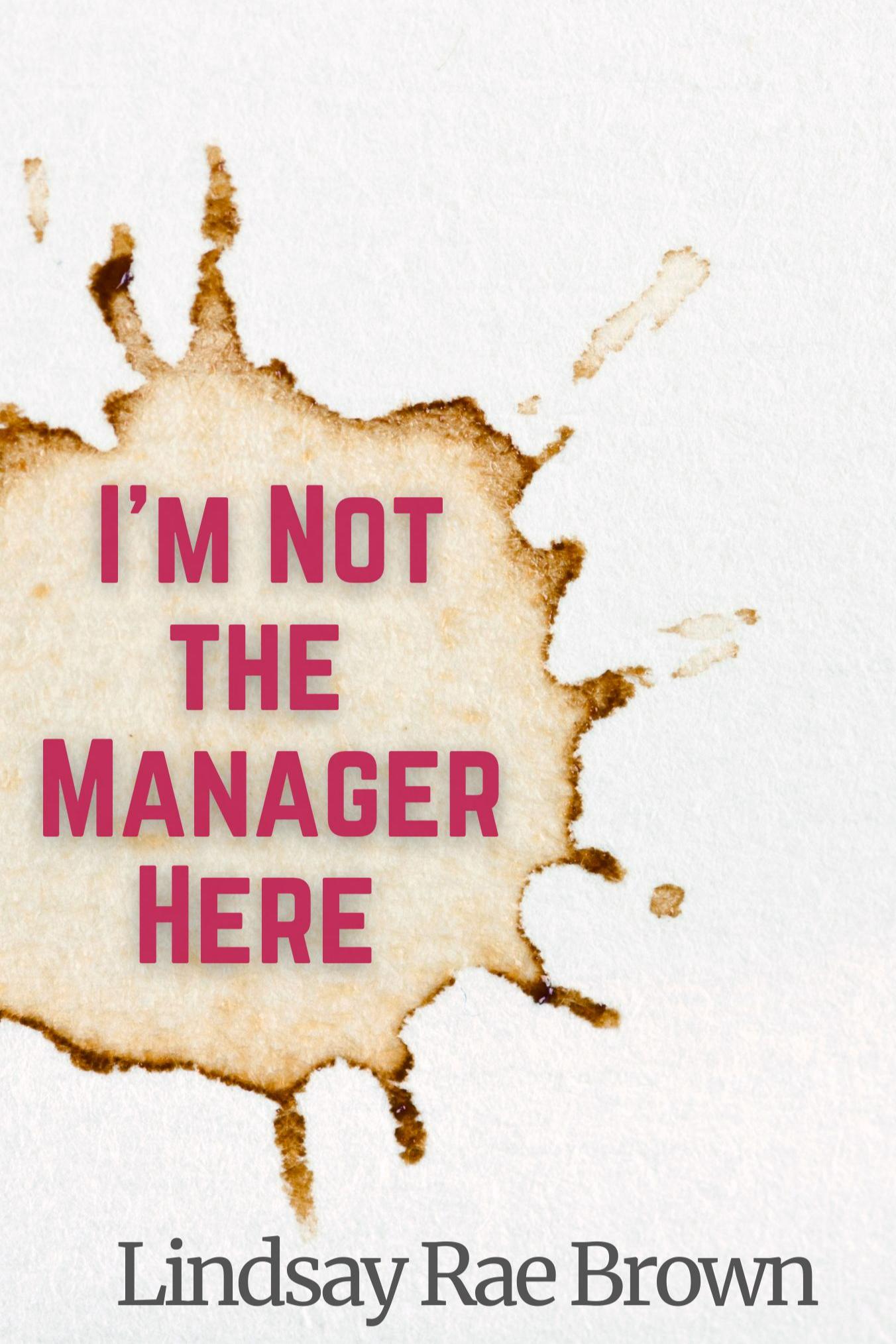 Book cover of I'm Not the Manager Here by Lindsay Rae Brown