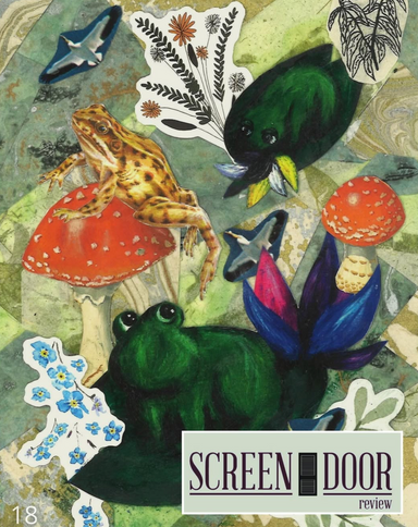 Screen Door Review latest issue