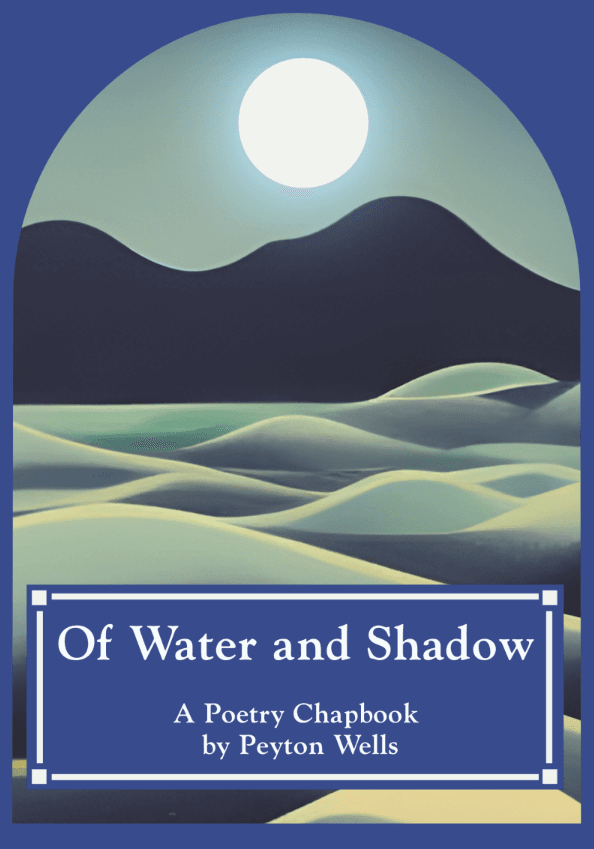 Book cover of Of Water and Shadow by Peyton Elizabeth Wells