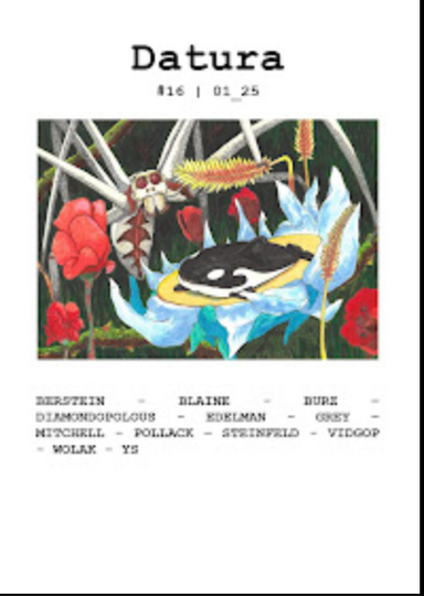 datura literary journal latest issue