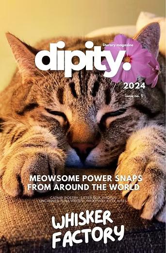 Dipity Lit Mag latest issue