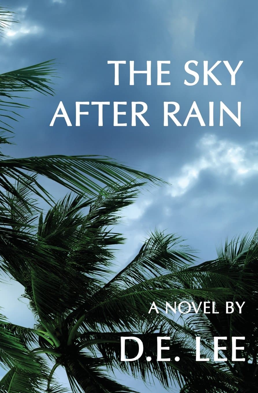 Book cover of The Sky After Rain by D. E. Lee