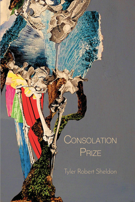 Book cover of Consolation Prize by Tyler Robert Sheldon