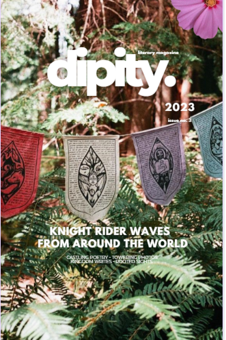 Book cover of Dipity Literary Mag Issue #3 (Dipity Economy Color Edition) by Jazz Marie Kaur
