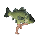 Jordon Olson avatar