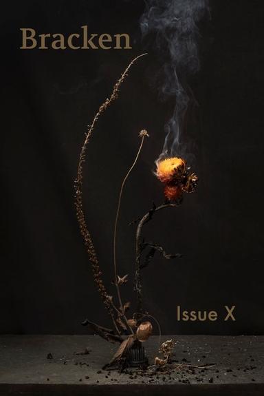 bracken latest issue