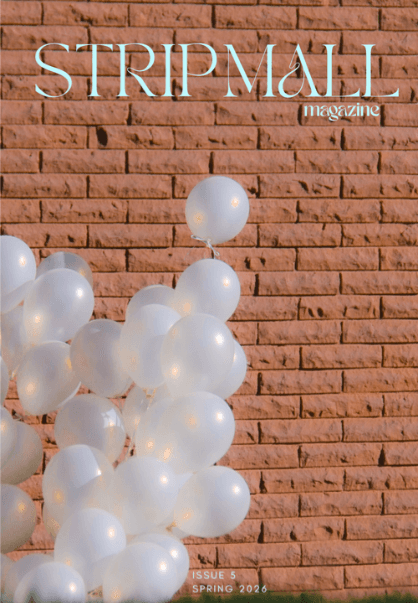 Strip Mall Magazine latest issue