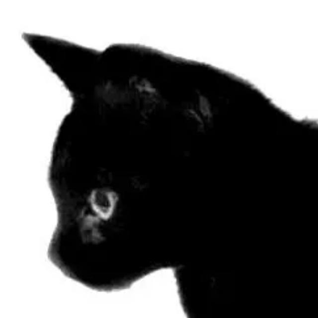 Starling avatar