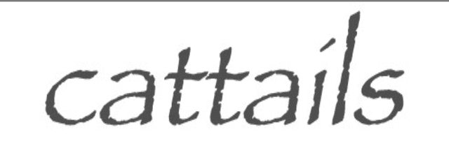 Cattails latest issue