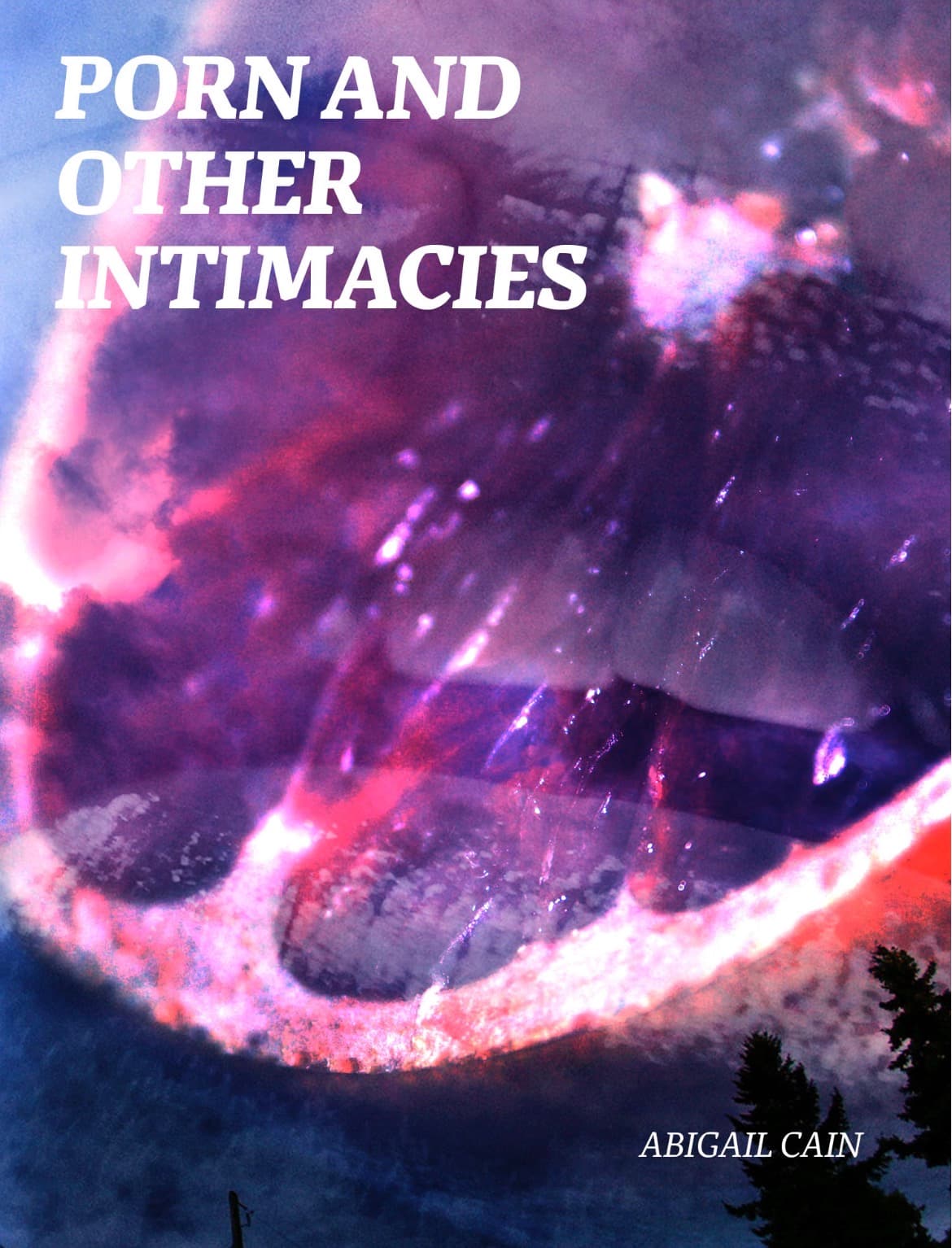 Book cover of porn and other intimacies by Abigail Cain