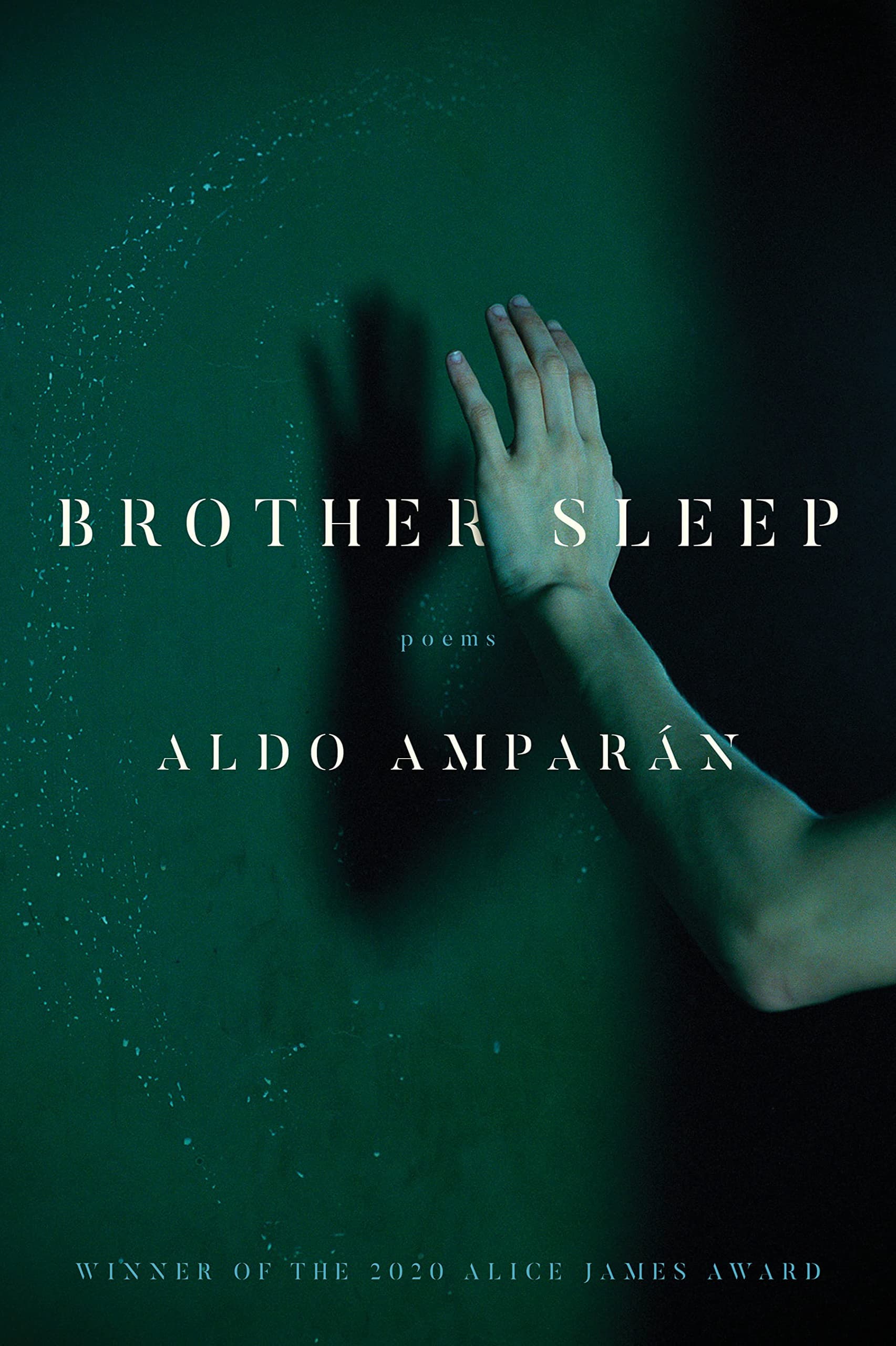 Book cover of Brother Sleep by Aldo Amparán