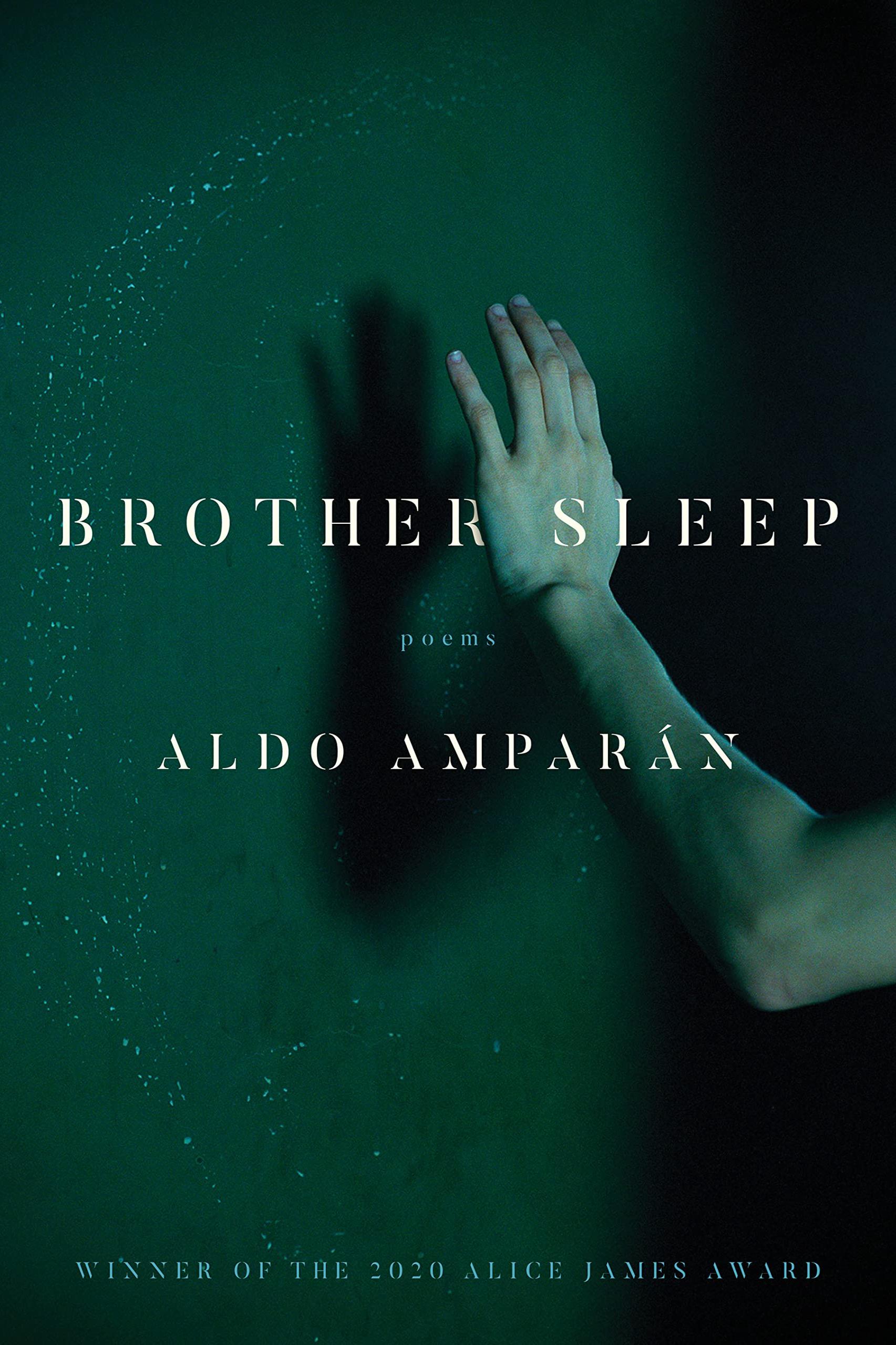 Book cover of Brother Sleep by Aldo Amparán