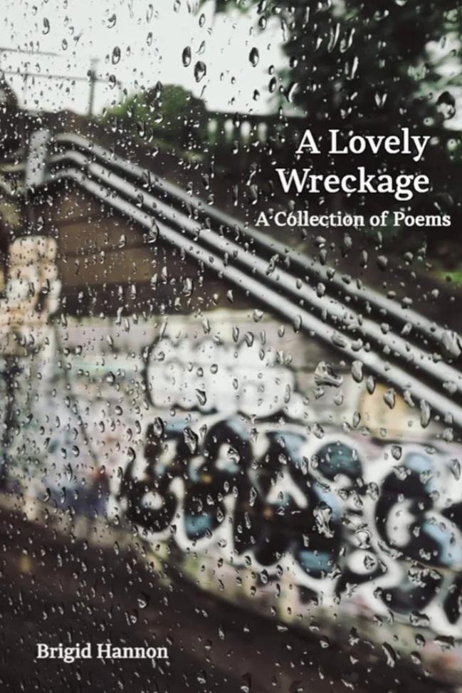 Book cover of A Lovely Wreckage  by Brigid Hannon 
