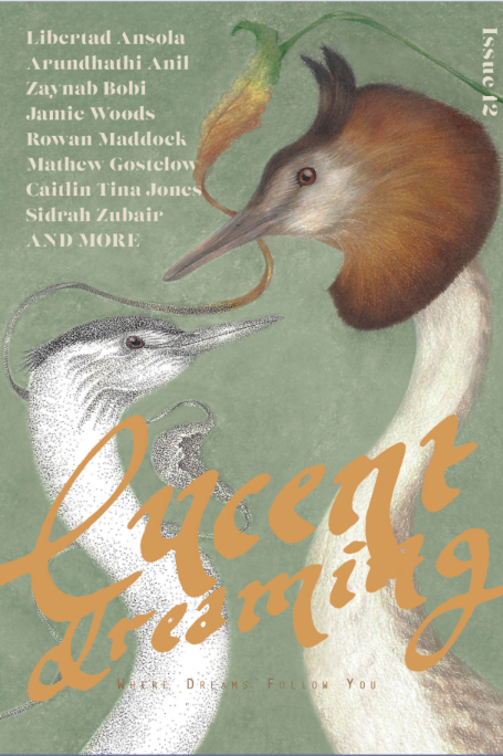 Book cover of Lucent Dreaming (Iss. 12) by Mathew Gostelow