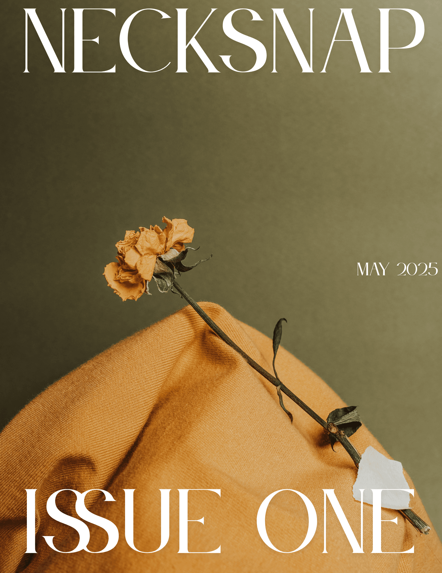 Book cover of Issue One by NECKSNAP Magazine