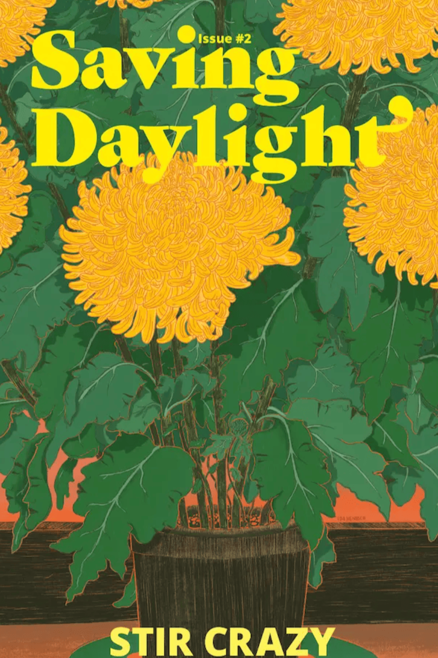 Book cover of Issue #2: Stir Crazy by Saving Daylight Magazine