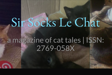 Sir Socks Le Chat: a magazine of cat tales latest issue
