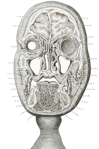 DIAGRAM latest issue
