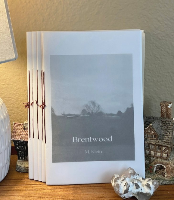 Book cover of Brentwood by m klein
