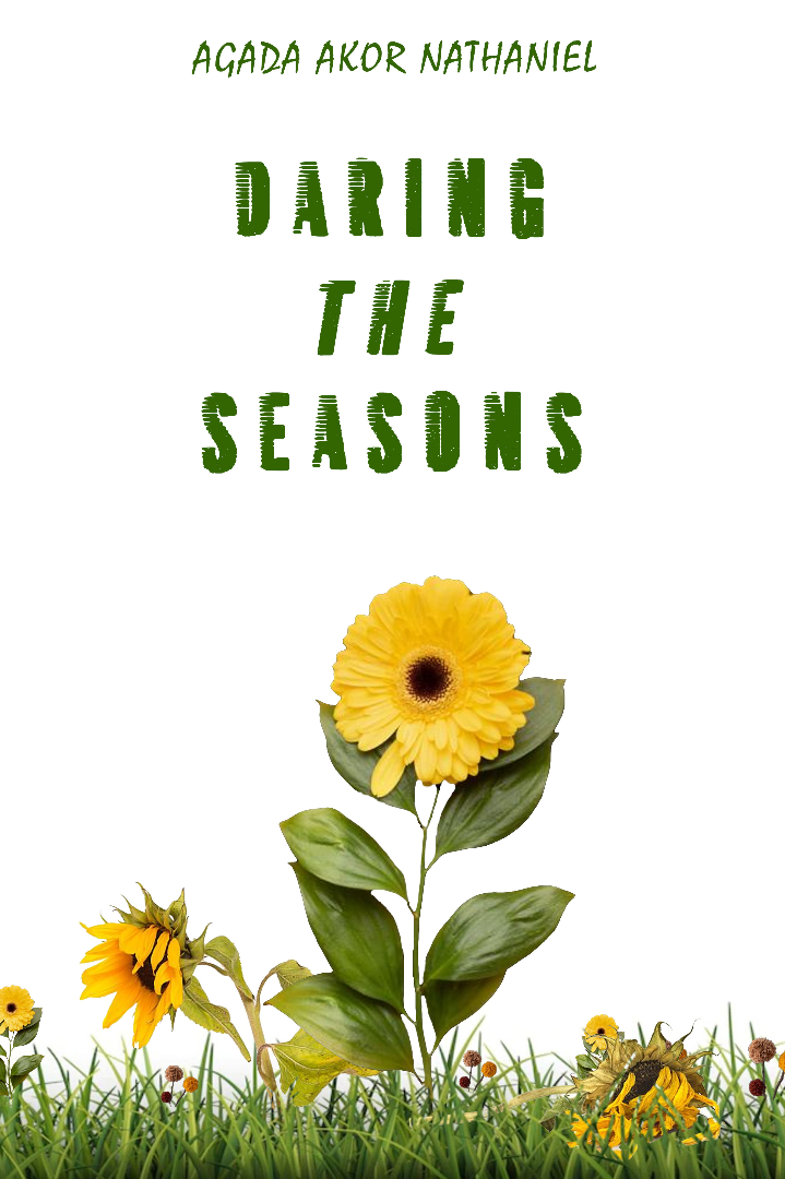 Book cover of Daring the Seasons by Afrihill Press