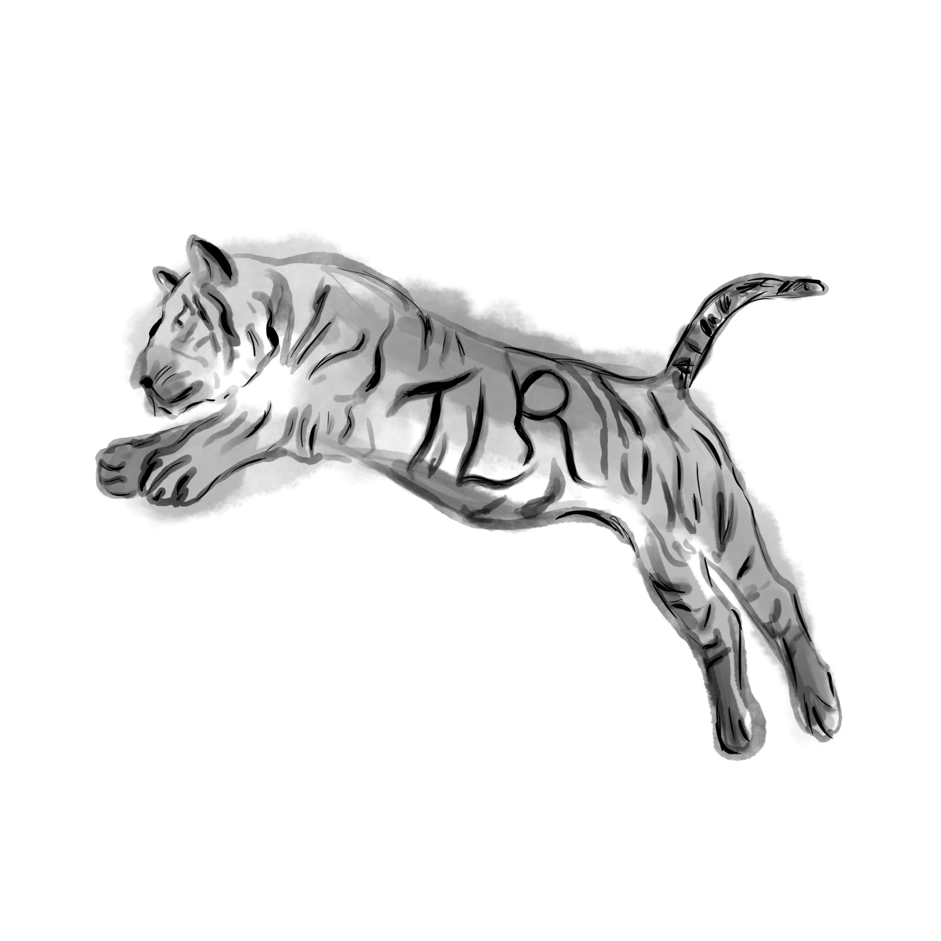 Cover of Tiger Leaping Review