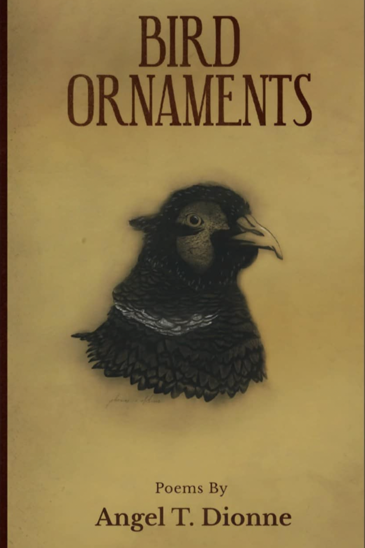 Book cover of Bird Ornaments by Angel Dionne