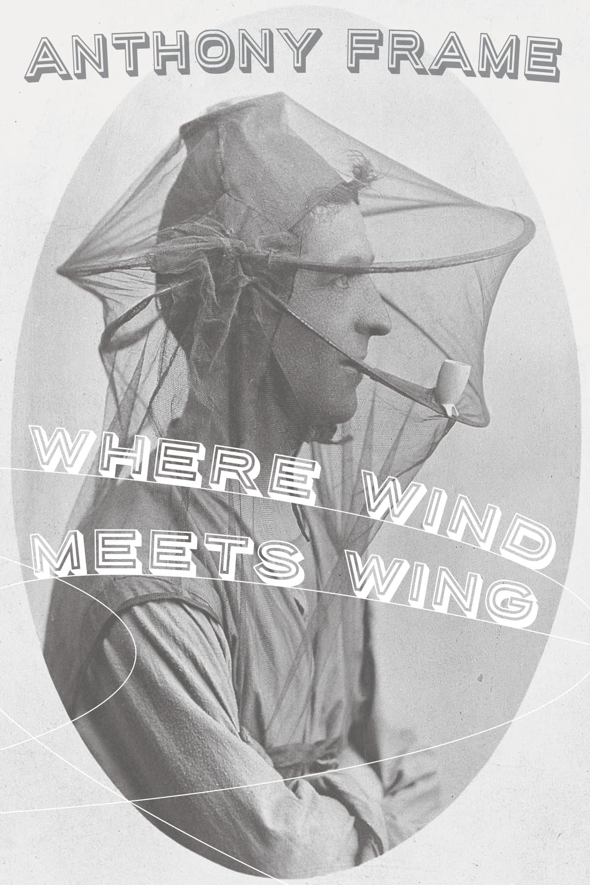 Book cover of Where Wind Meets Wing by anthonyframe