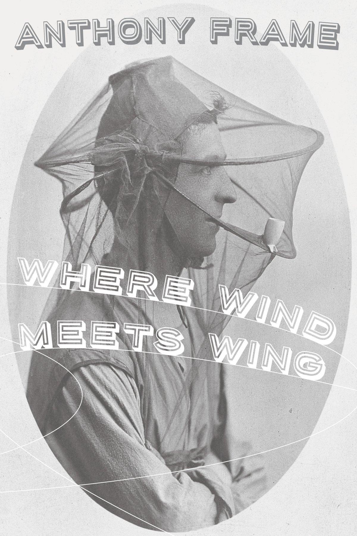 Book cover of Where Wind Meets Wing by anthonyframe