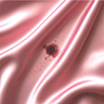 Stained Silk Magazine logo