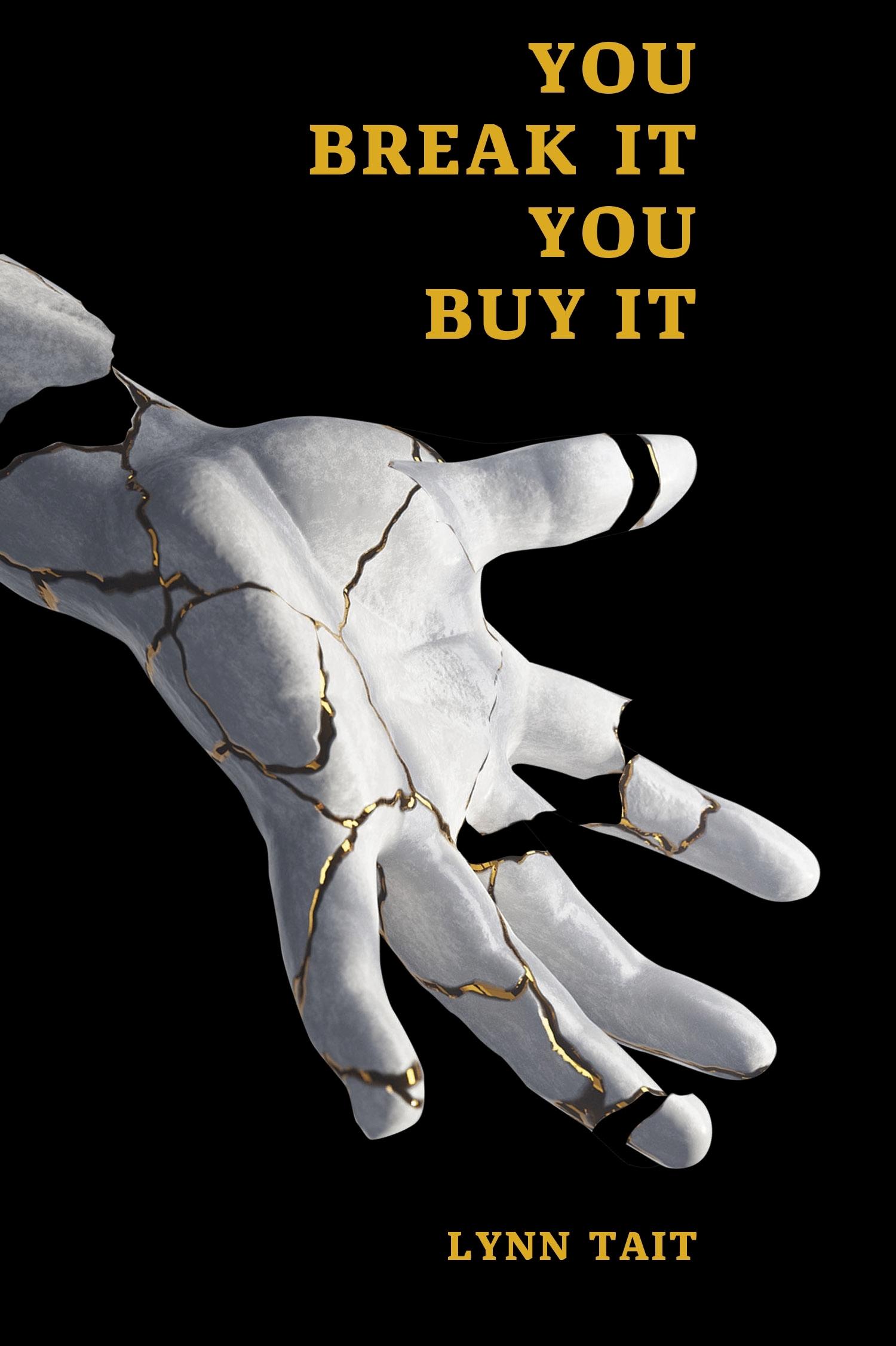Book cover of You Break It You Buy It by lynntait