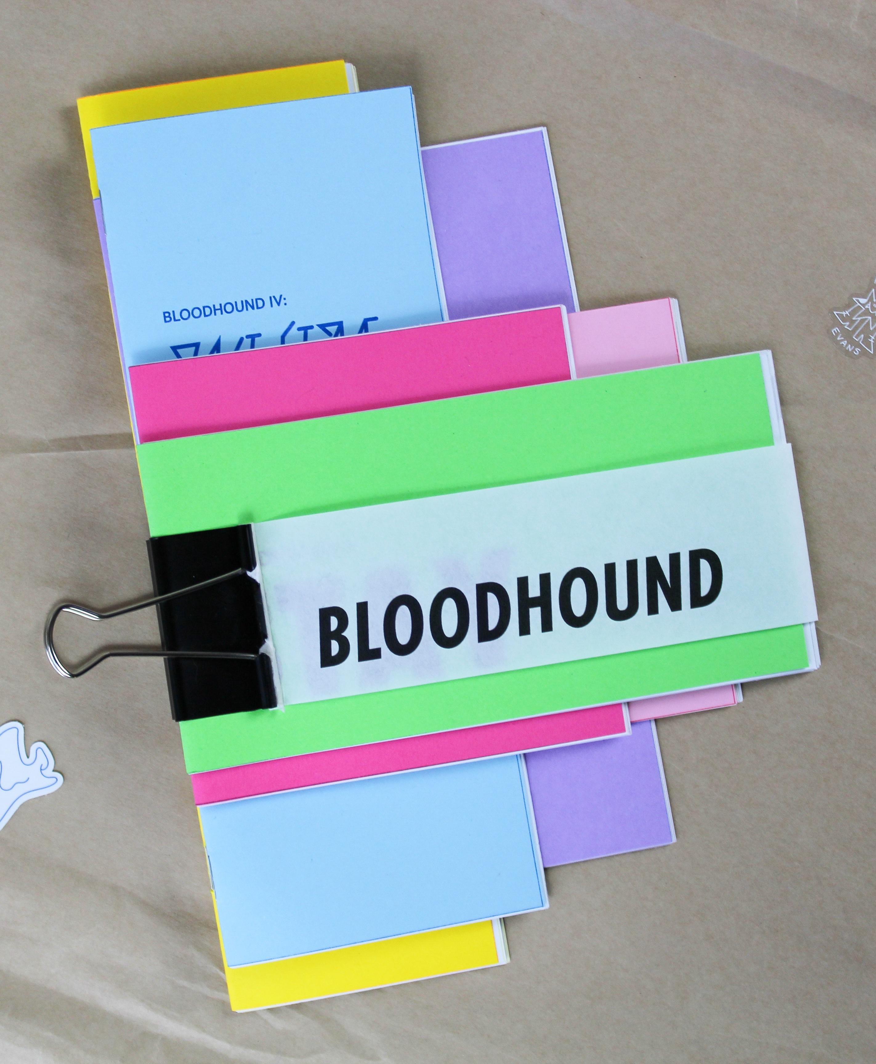 Book cover of BLOODHOUND by richie evans